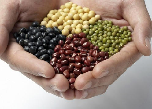 农产品检测，最新豆类检测项目及标准