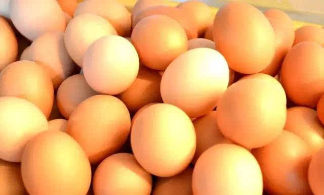 鸡蛋检测去哪个部门检测？鸡蛋检测机构怎么选？