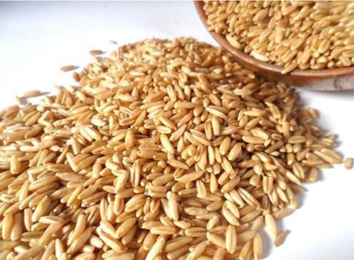 大麦营养成分检测项目及标准是什么？