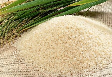 水稻检测项目包括哪些？