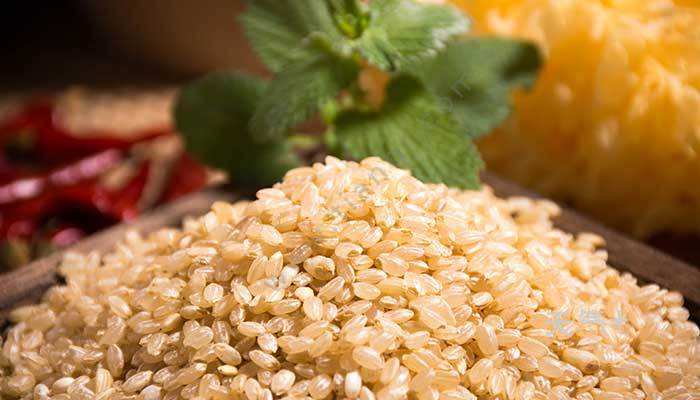 糙米检测标准一览，检测糙米需要依据什么内容？