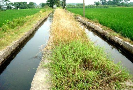 农田灌溉水检测项目和标准有哪些？