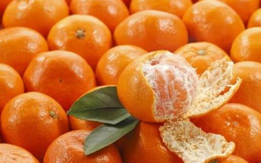 橘子检测，合肥专业橘子检测机构检测哪些项目？