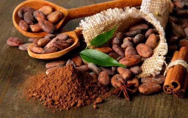 可可豆、可可粉检测项目和标准有哪些？安徽食品检测机构
