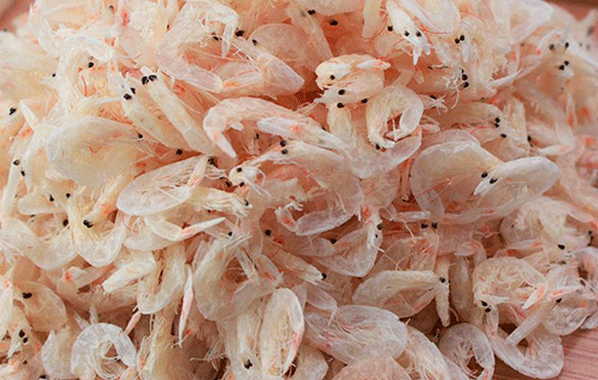  虾米需要检测哪些指标？检测依据什么标准？
