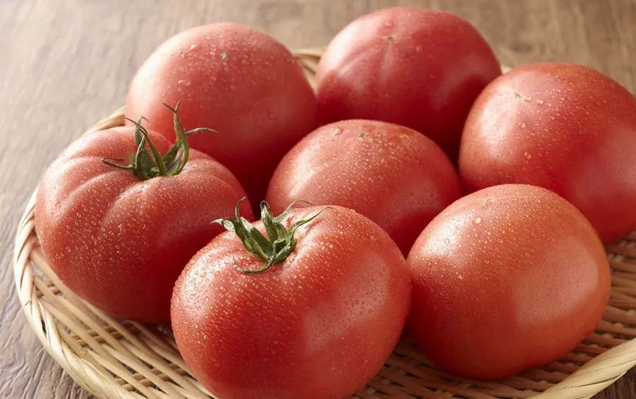 西红柿检测一次多少钱？