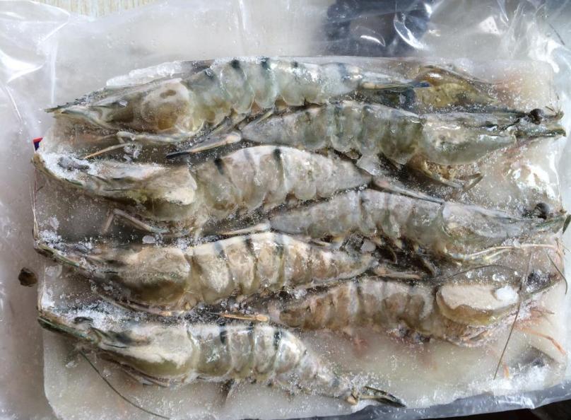 安徽冷冻虾检测报告怎么办理？